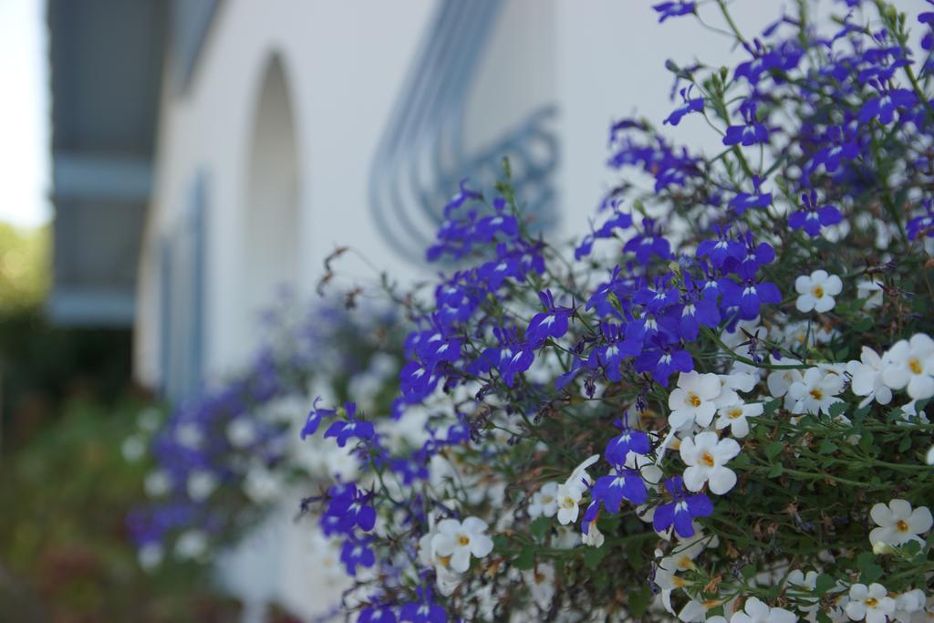 Chambre D'Hotes Etchebri Anglet Esterno foto